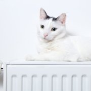 Wann ist eigentlich das Ende der jährlichen Heizperiode und was ist danach zu tun?